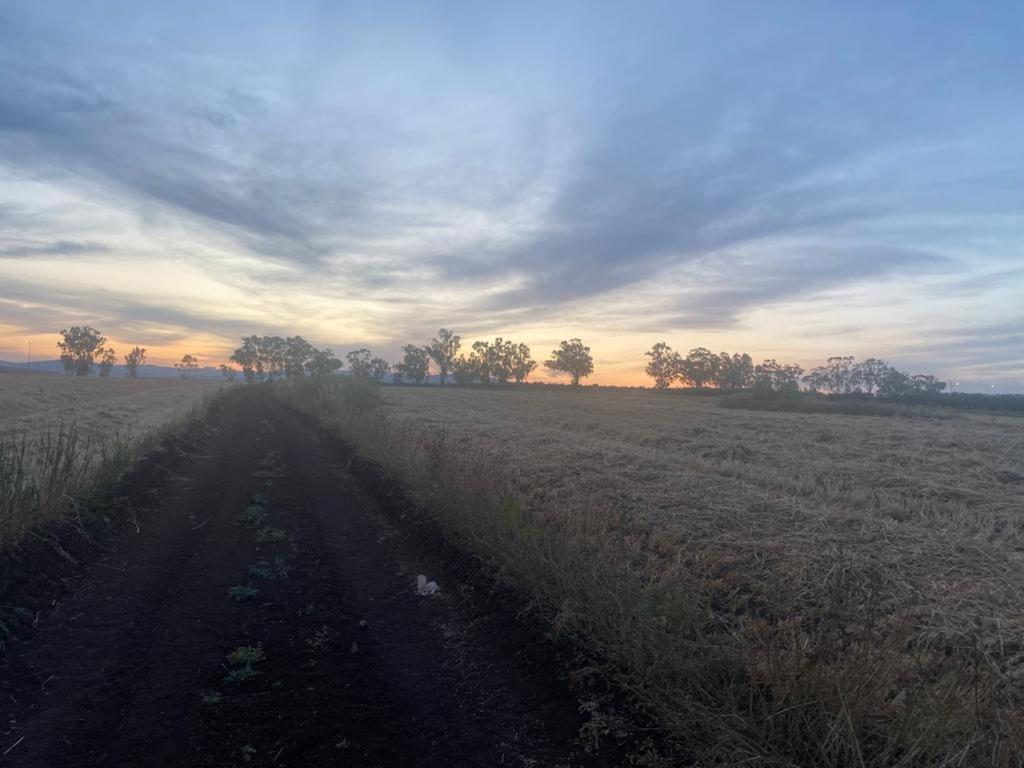 וילת הנחלה למשפחות Nahala Villa Shadmot Devora Номер фото